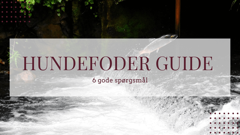 fisk i hundefoder 